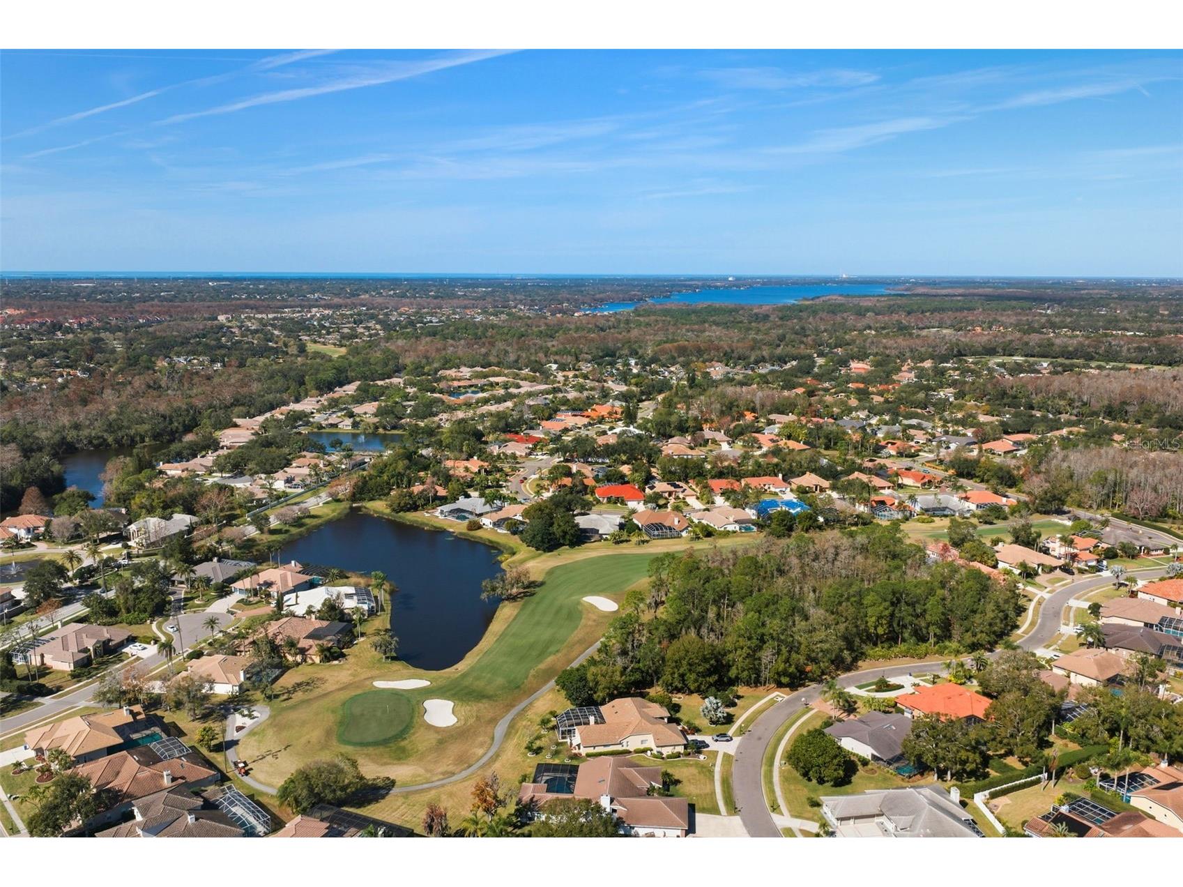 1362 E Lake Woodlands Parkway Oldsmar FL 34677 TB8467569 image46