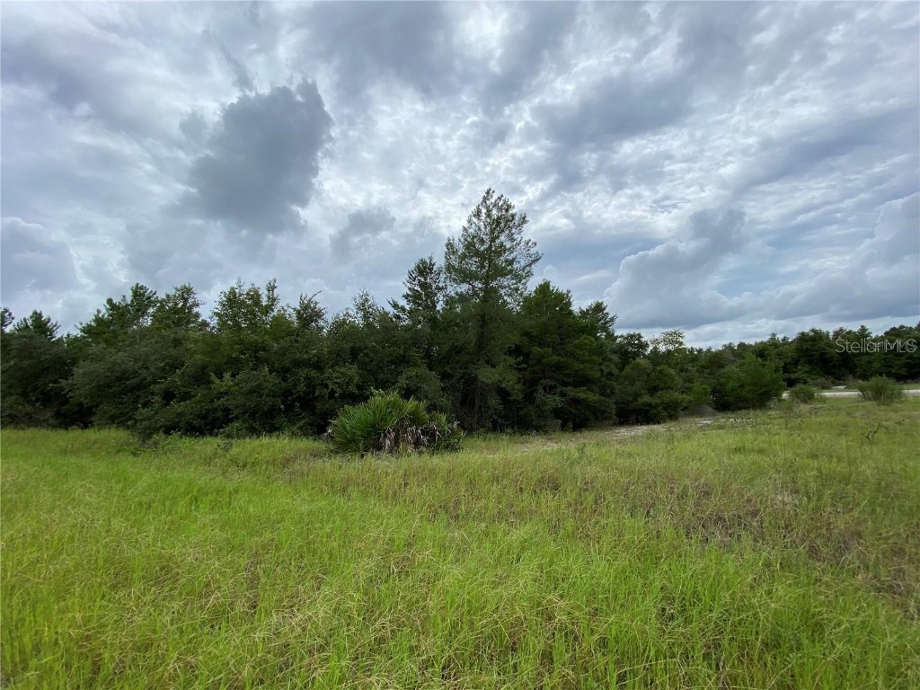 1362 Homosassa Drive Kissimmee FL 34759 O6317463 image3