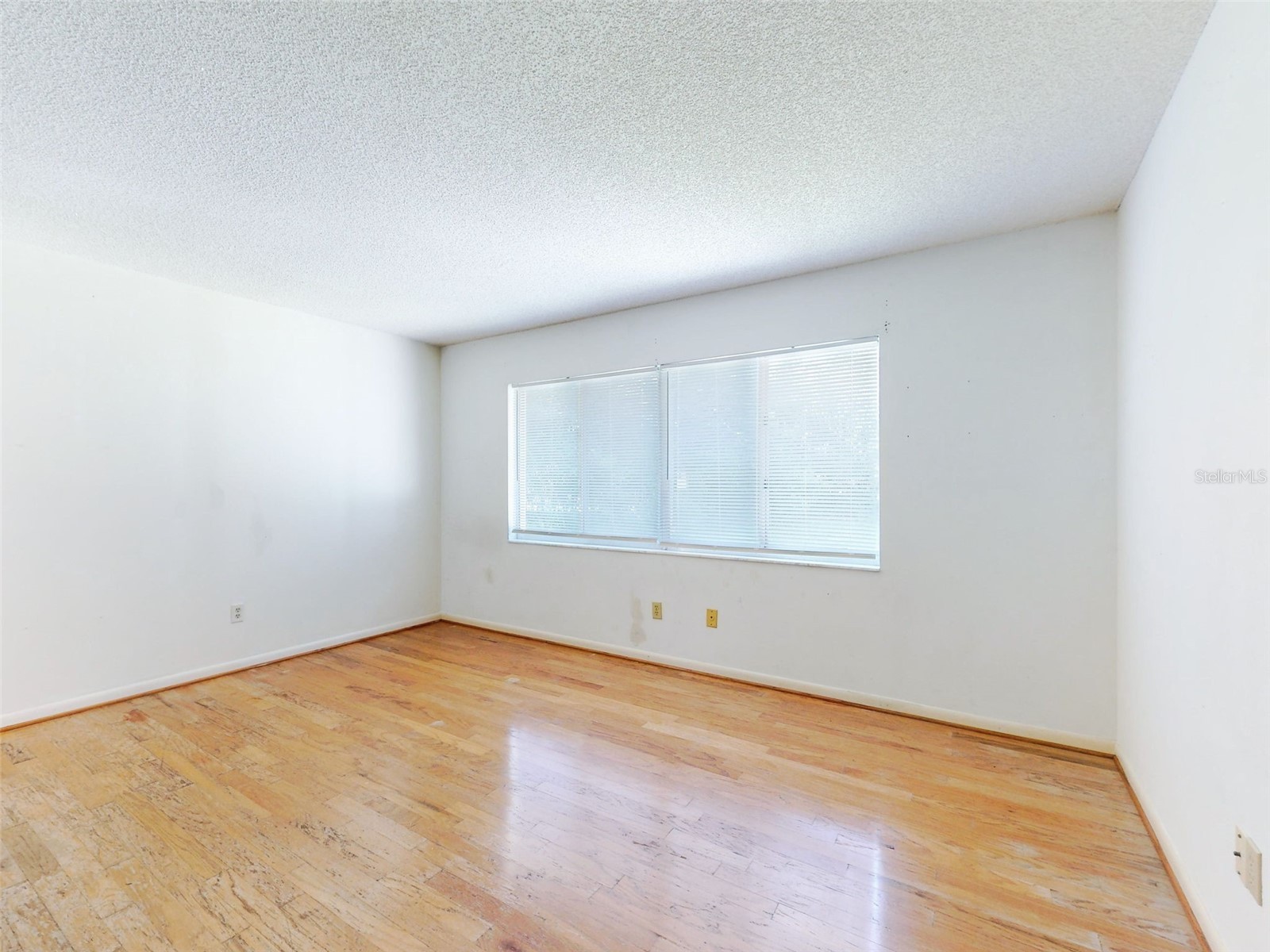1362 Woodbine Avenue Deltona FL 32725 V4950117 image21