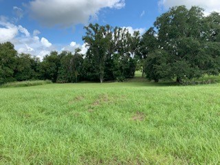 13620 Carnoustie Circle Dade City FL 33525 T3553060 image2