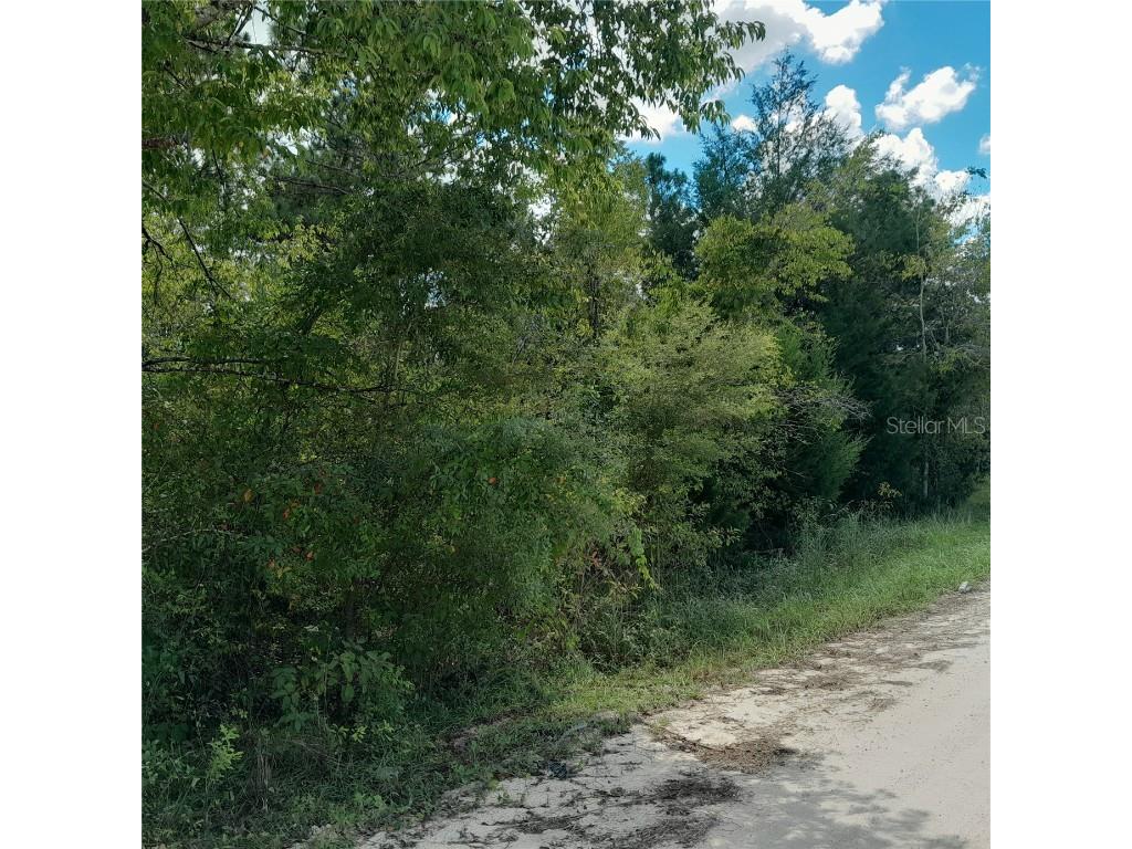 13620 SE 23rd Place Morriston FL 32668 OM685168 image1