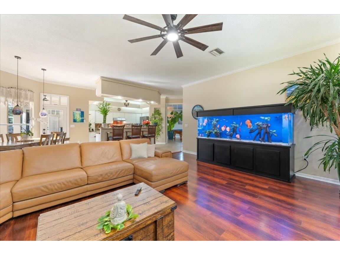 13624 Cooper Road Spring Hill FL 34609 TB8454557 image24