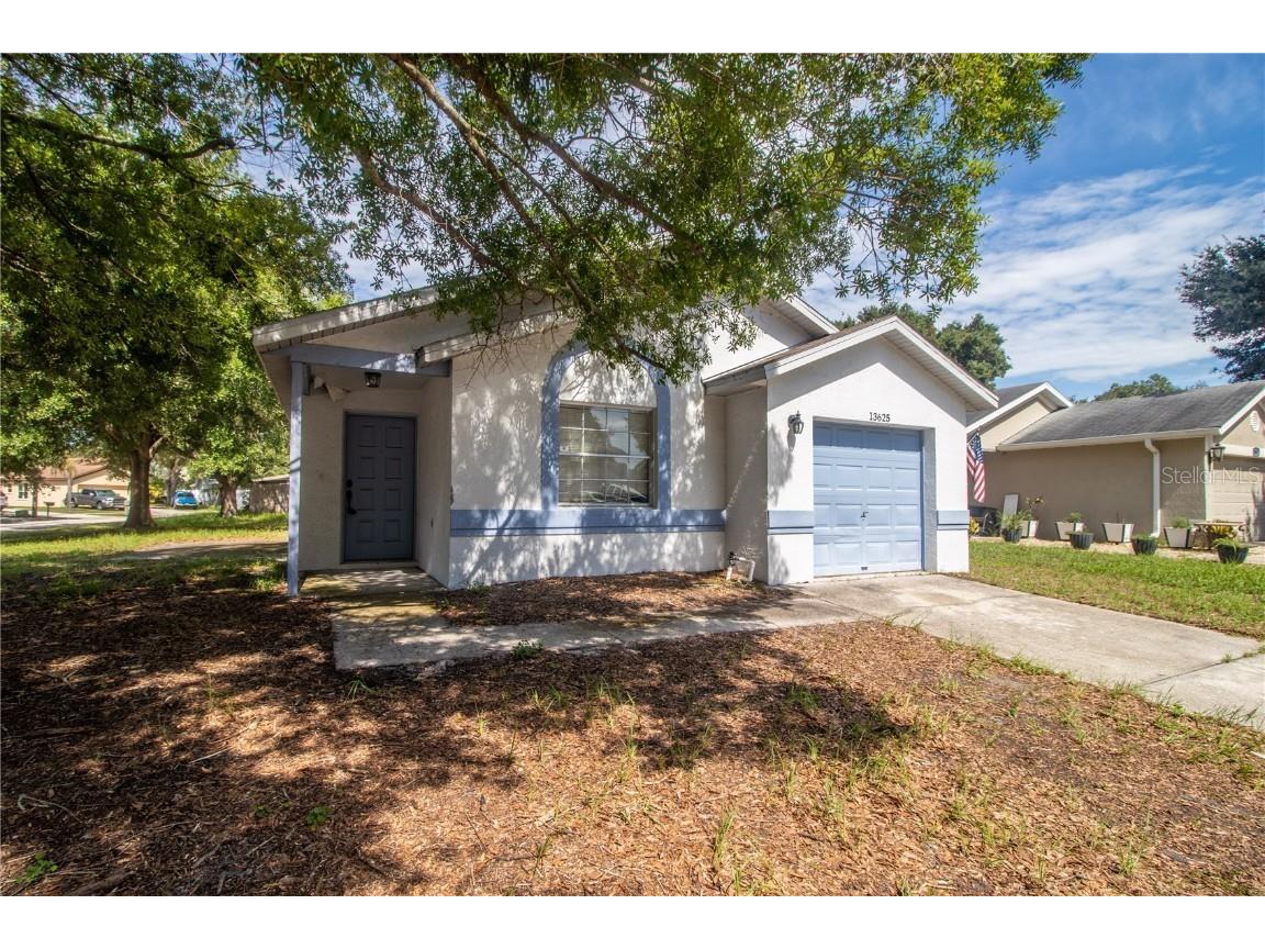 13625 Laraway Drive Riverview FL 33579 T3538284 image1