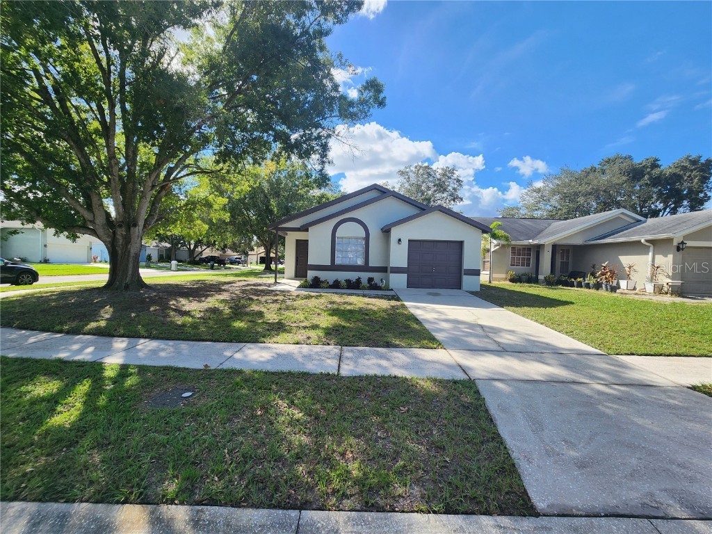 13625 Laraway Drive Riverview FL 33579 TB8310522 image1