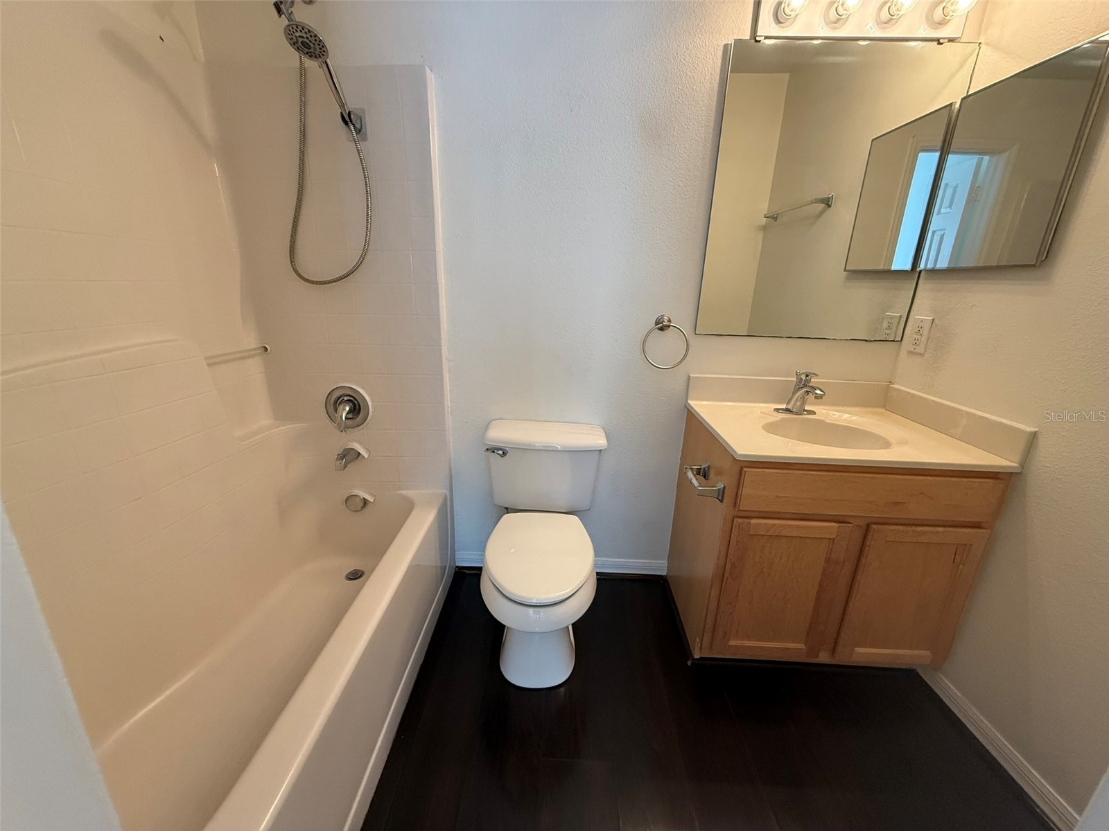 13625 Silver Charm Court Riverview FL 33579 TB8512171 image6