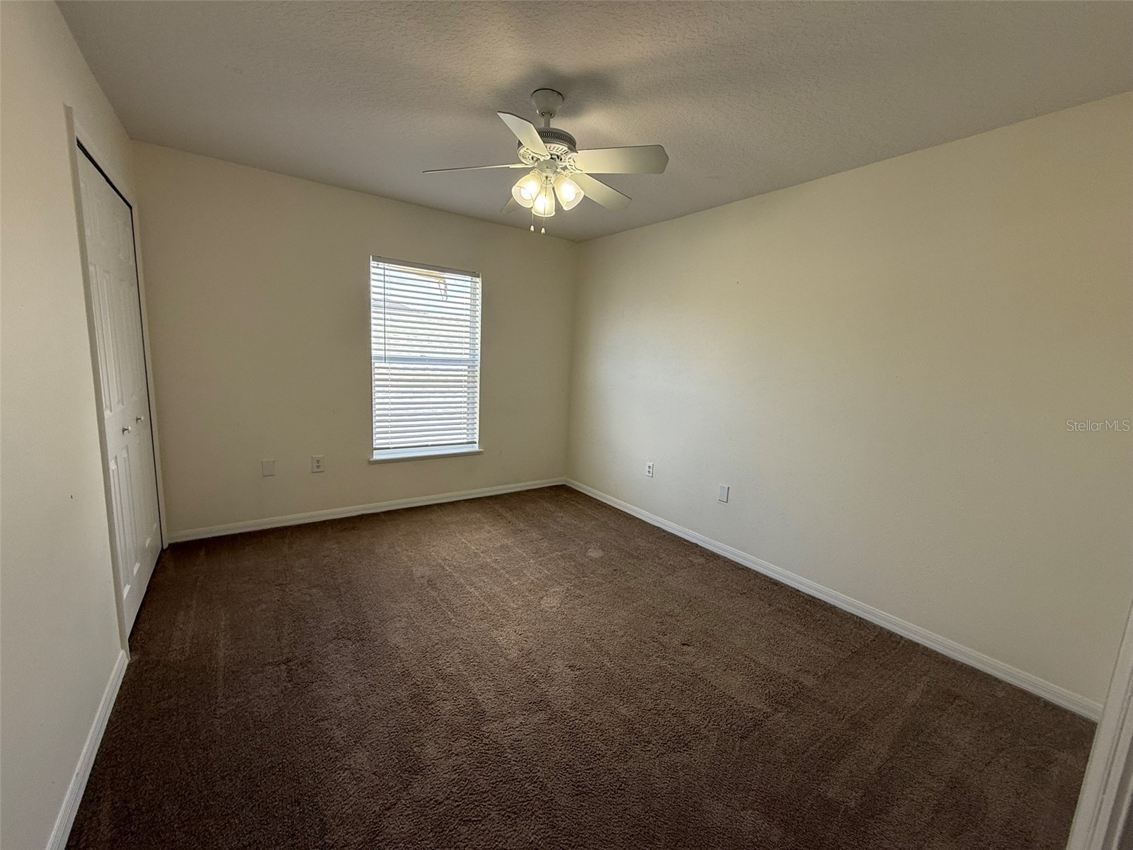 13625 Silver Charm Court Riverview FL 33579 TB8512171 image9