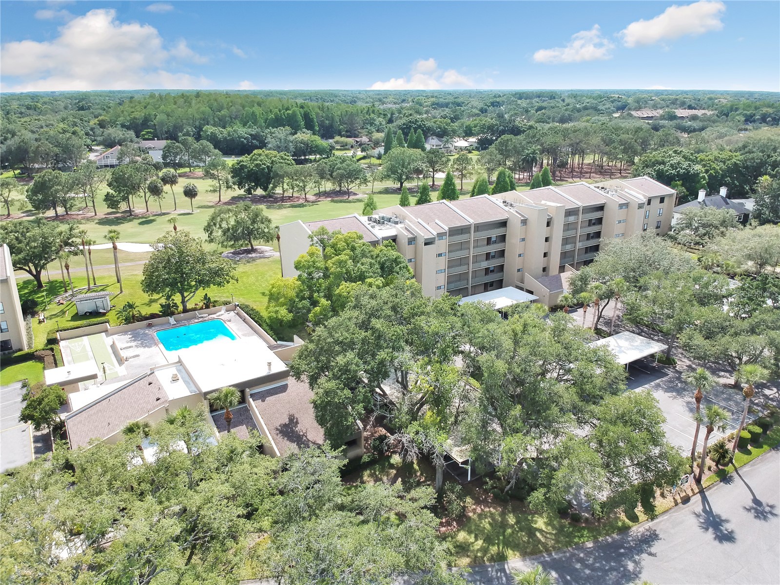 13626 Greenfield Drive #201 Tampa FL 33618 TB8521828 image2