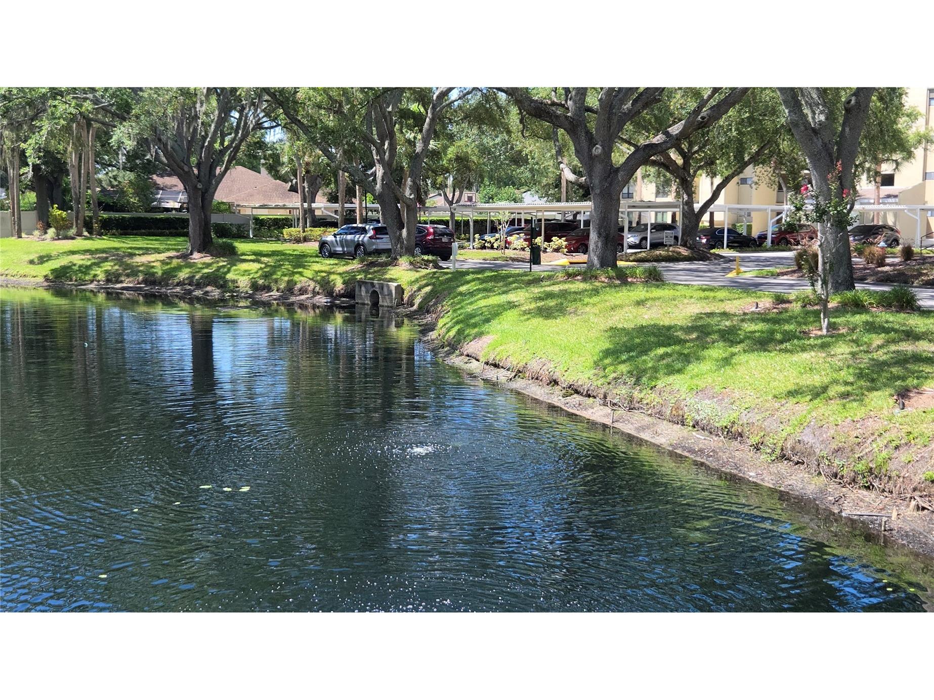 13626 Greenfield Drive #201 Tampa FL 33618 TB8521828 image22