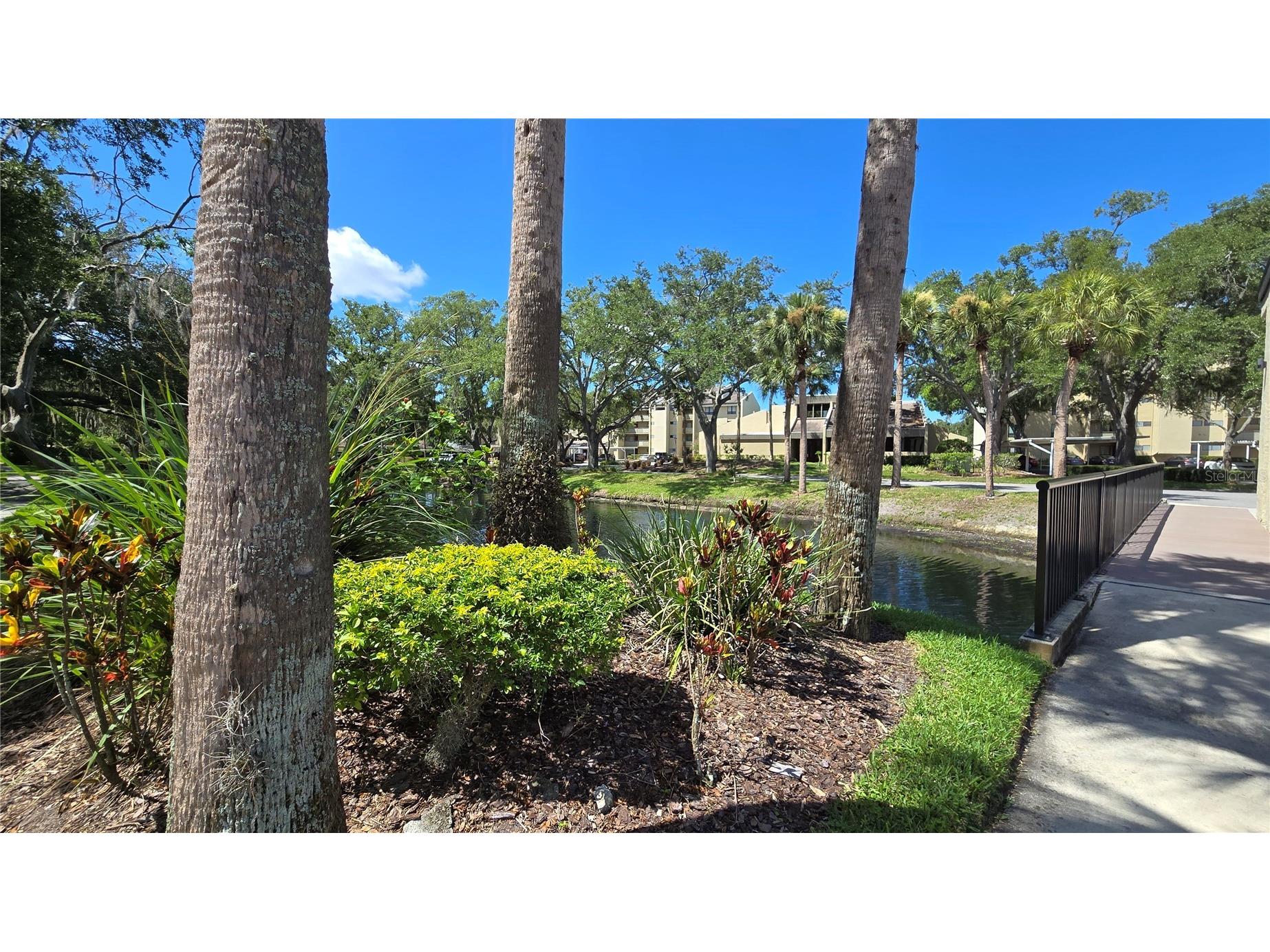 13626 Greenfield Drive #201 Tampa FL 33618 TB8521828 image24