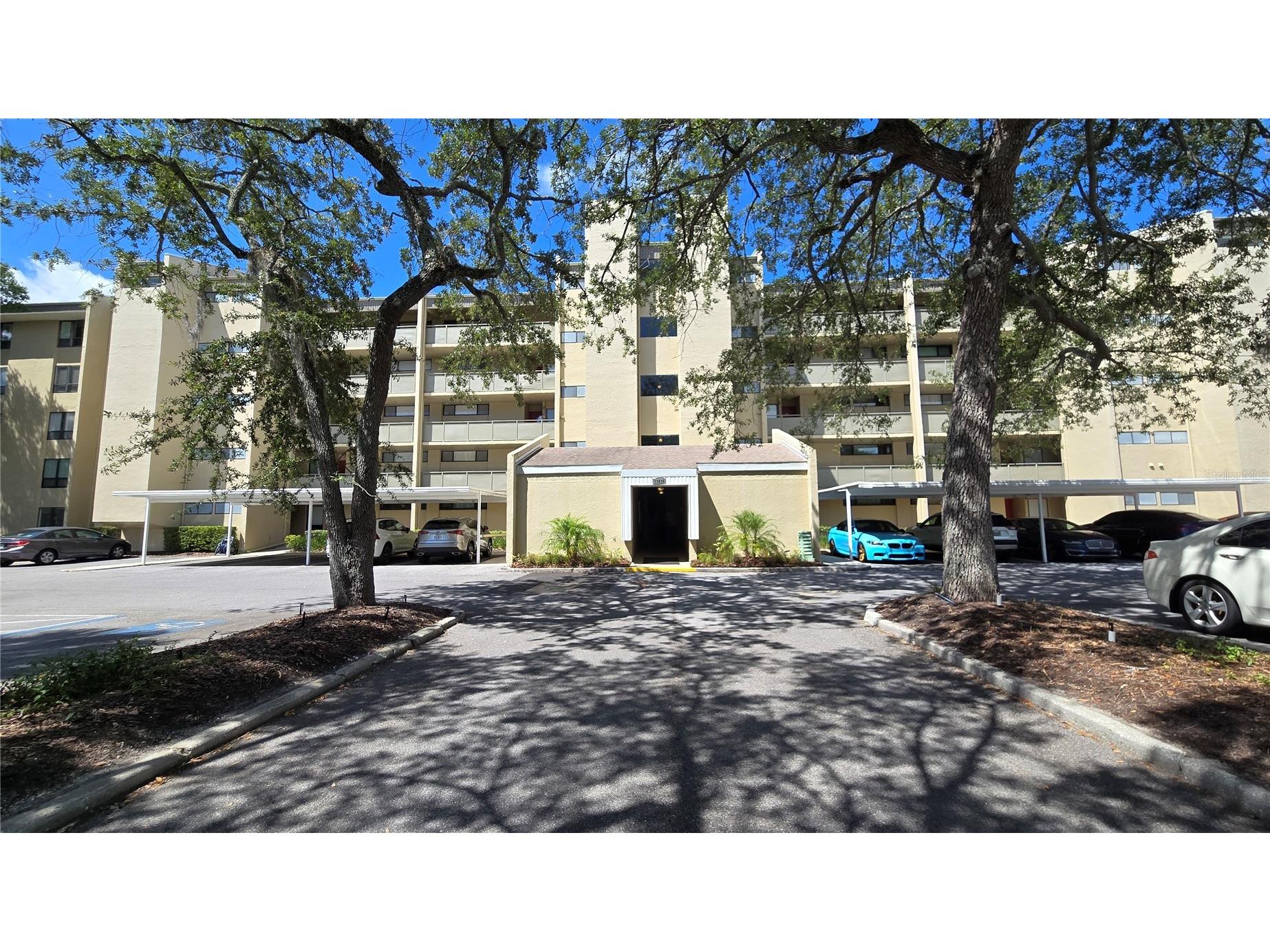13626 Greenfield Drive #201 Tampa FL 33618 TB8521828 image4