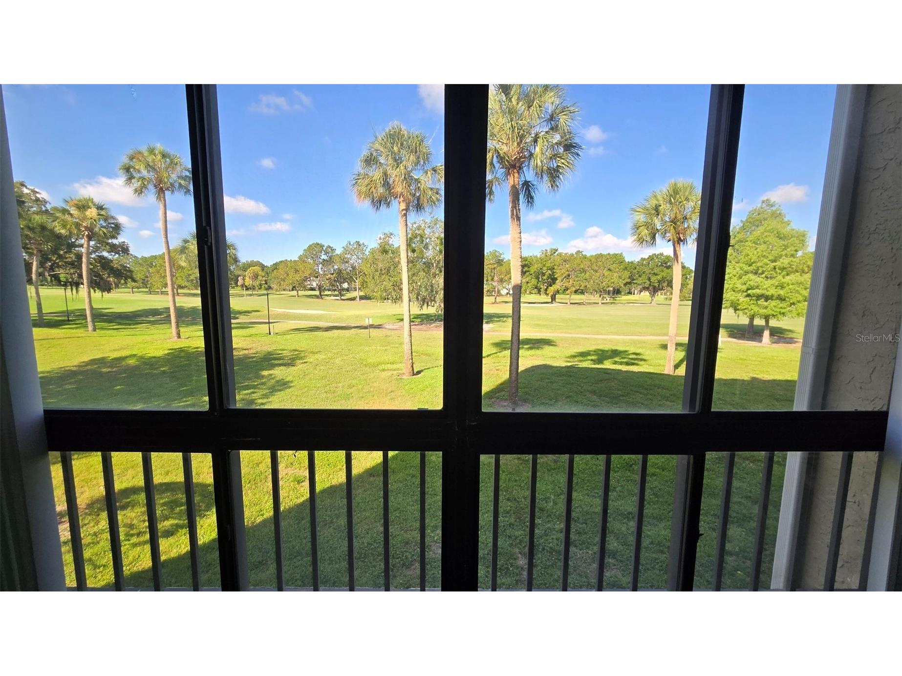 13626 Greenfield Drive #201 Tampa FL 33618 TB8521828 image6