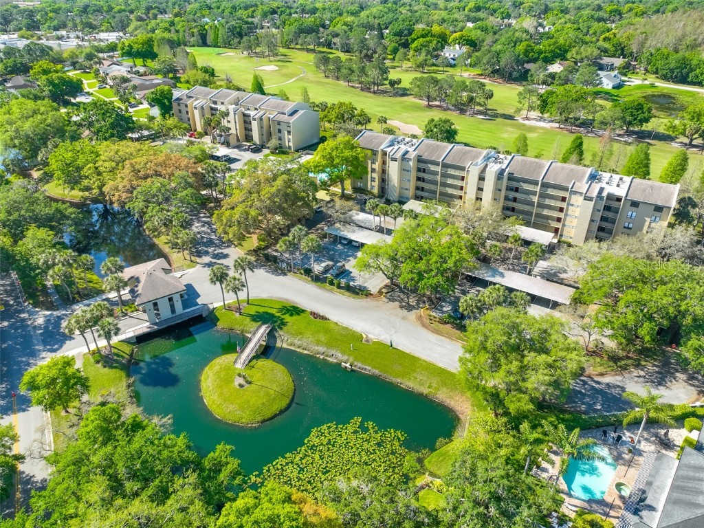 13626 Greenfield Drive #202 Tampa FL 33618 T3513274 image1