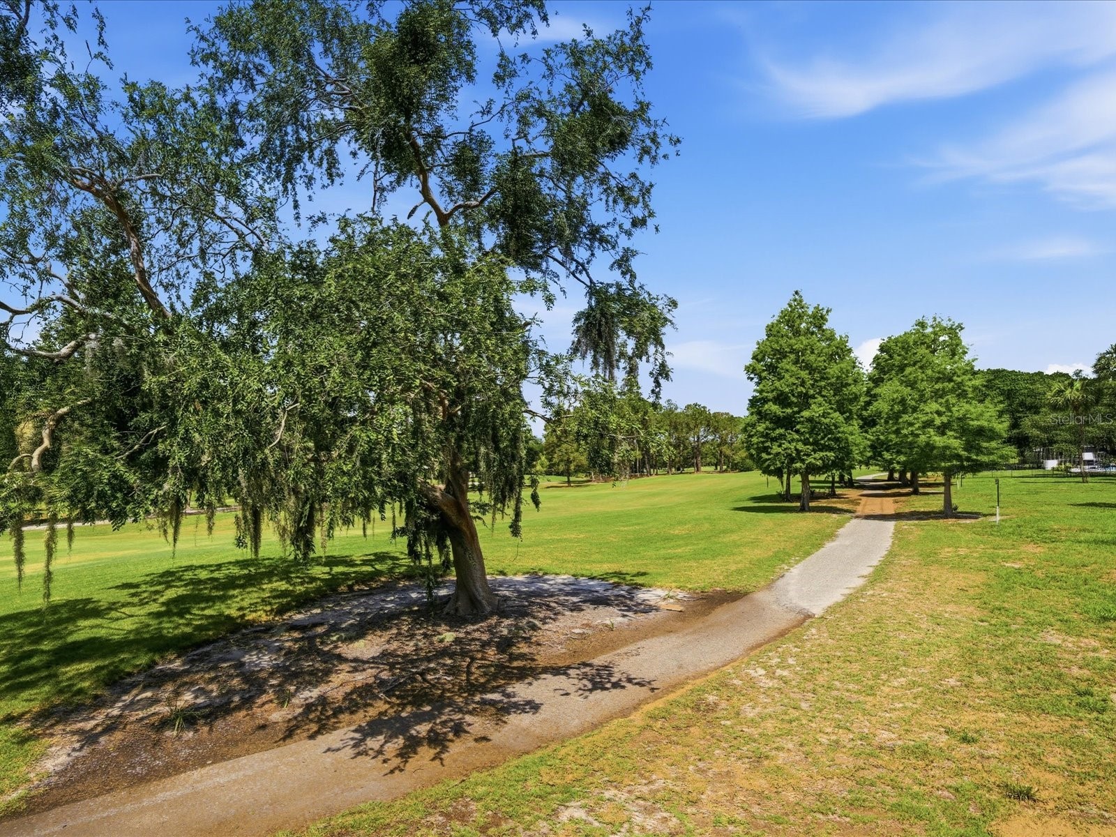 13626 Greenfield Drive #401 Tampa FL 33618 TB8516126 image41