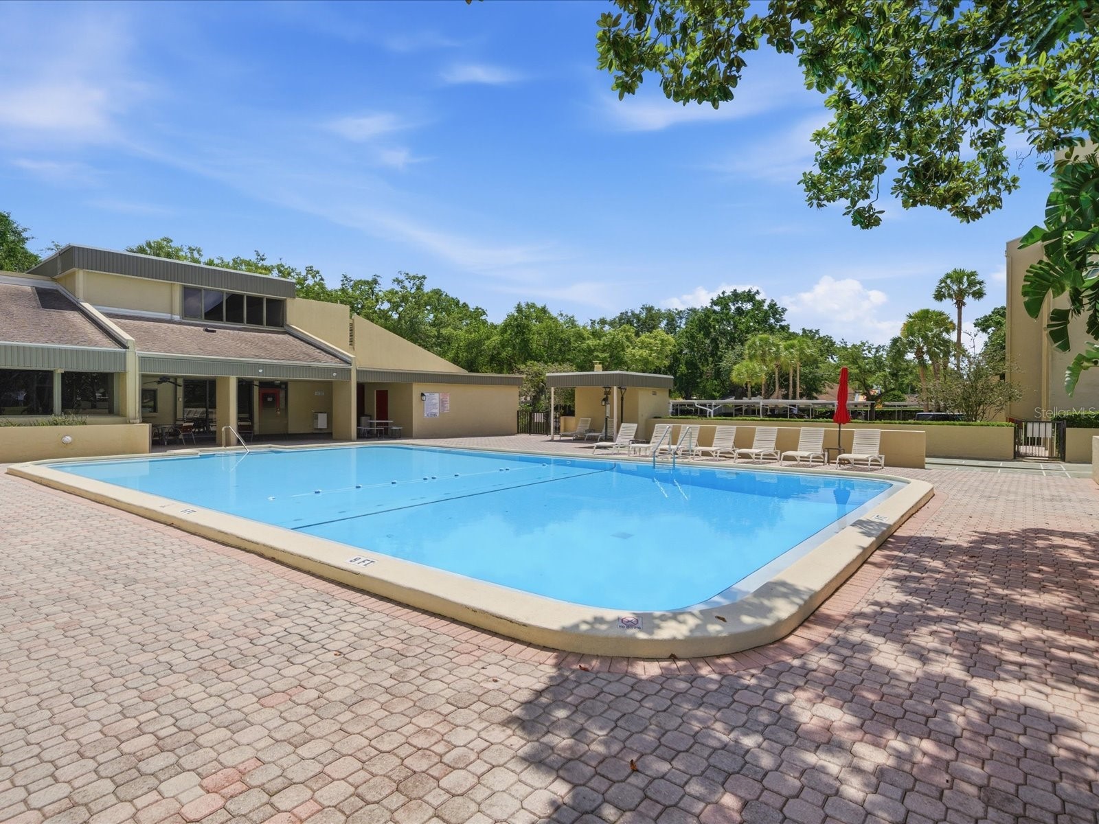 13626 Greenfield Drive #401 Tampa FL 33618 TB8516126 image43
