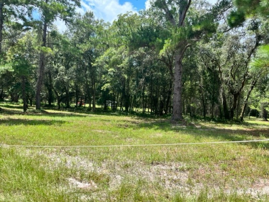 13626 SW Tustenuggee Avenue Fort White FL 32038 GC515397 image1