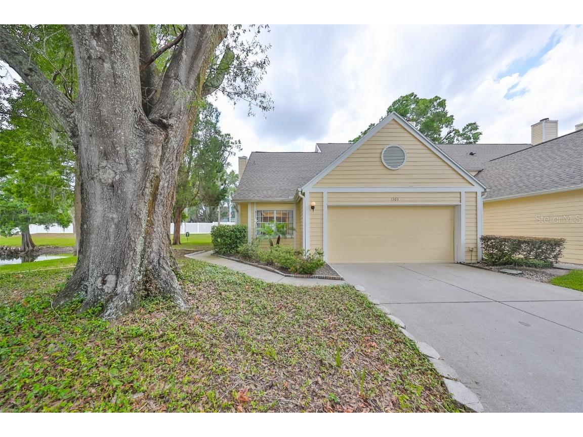 1363 Big Pine Drive Valrico FL 33596 T3531579 image1