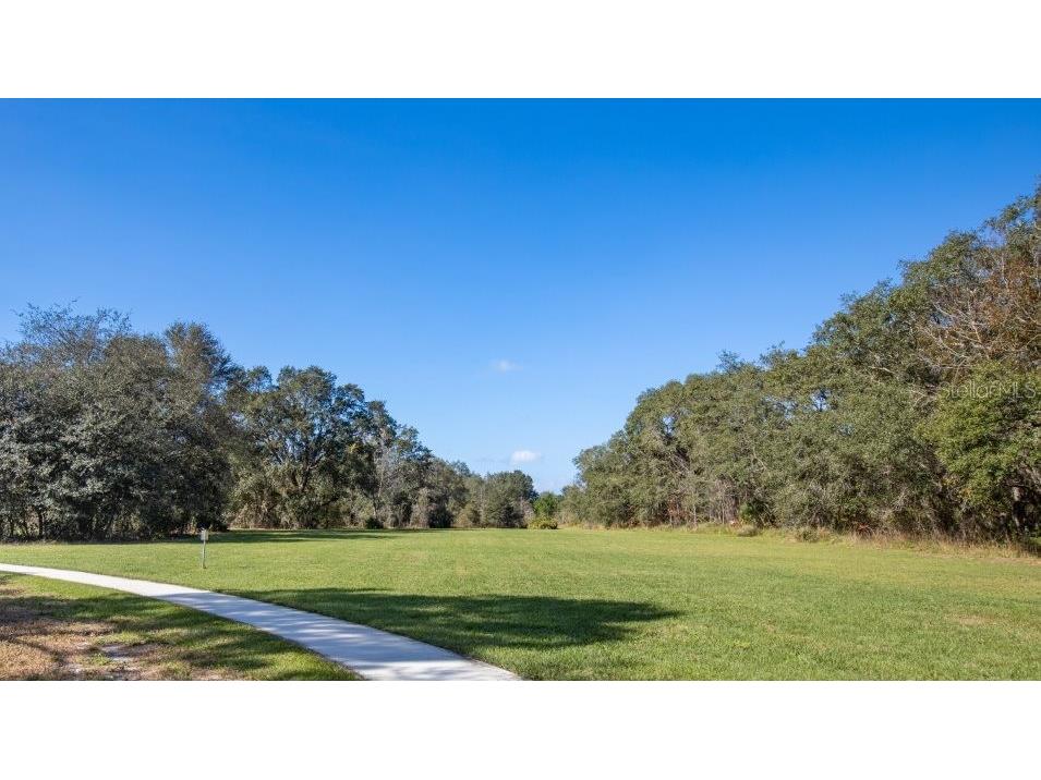1363 Blue Ash Lane Deland FL 32720 O6401868 image24