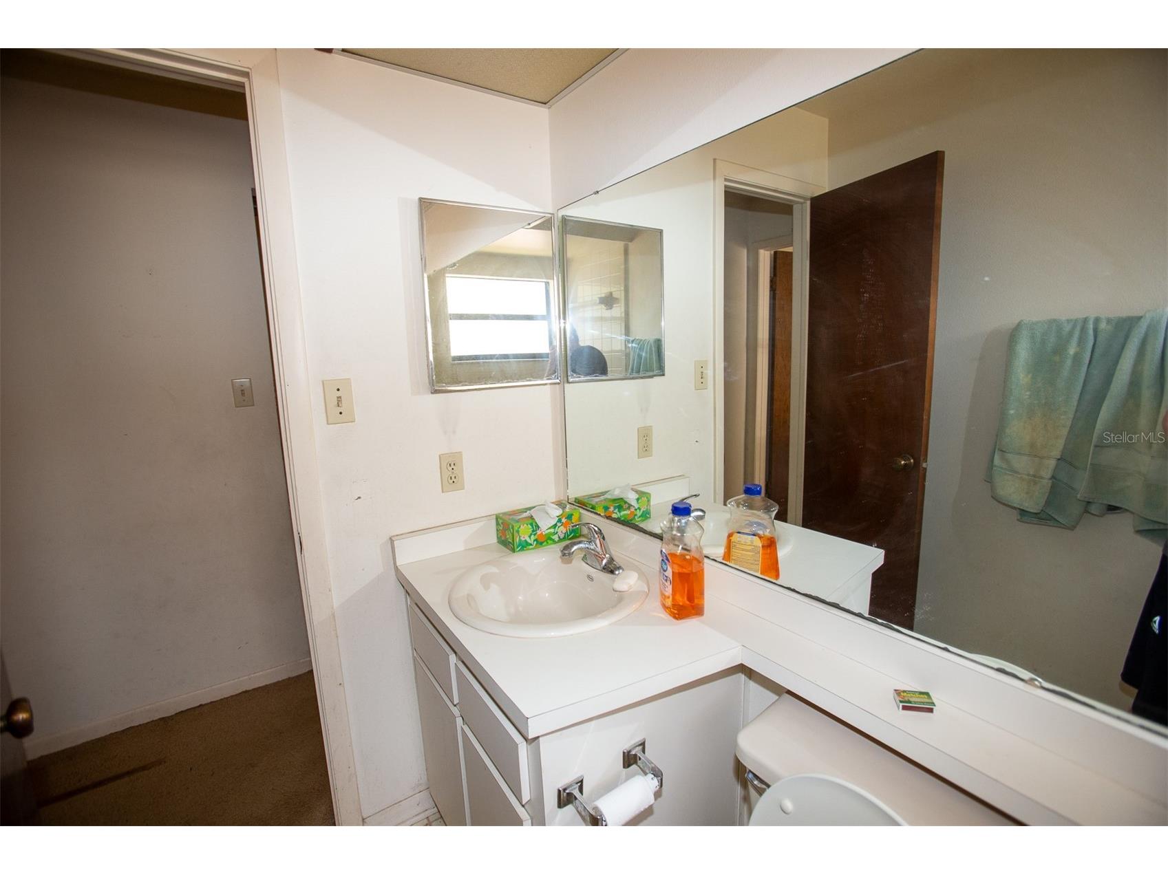 1363 Corner Oaks Drive Brandon FL 33510 TB8512059 image18