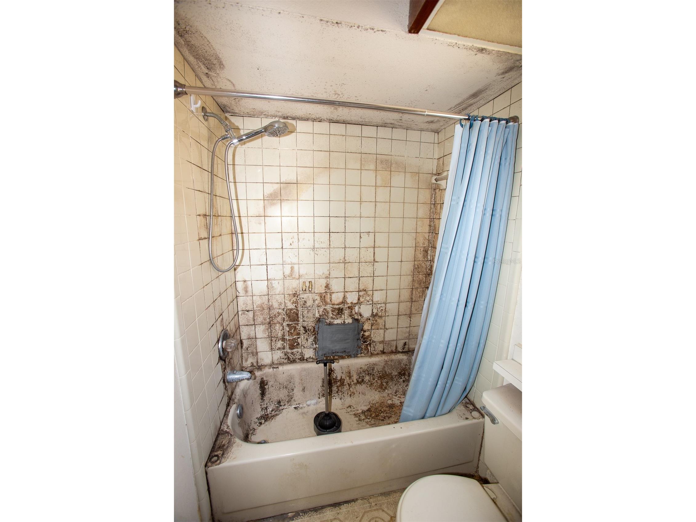 1363 Corner Oaks Drive Brandon FL 33510 TB8512059 image5