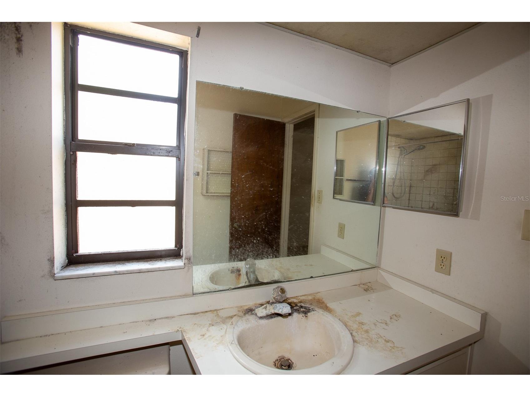 1363 Corner Oaks Drive Brandon FL 33510 TB8512059 image6