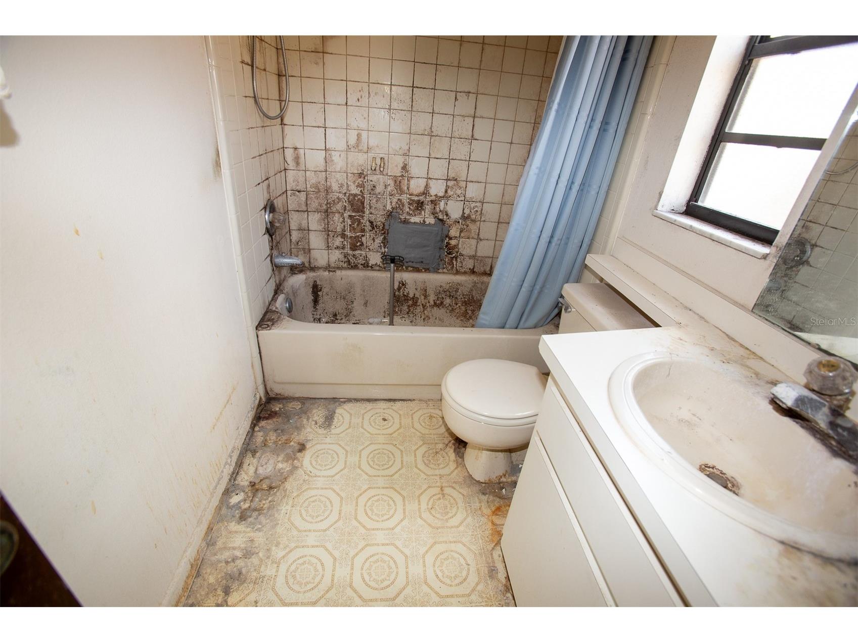 1363 Corner Oaks Drive Brandon FL 33510 TB8512059 image7