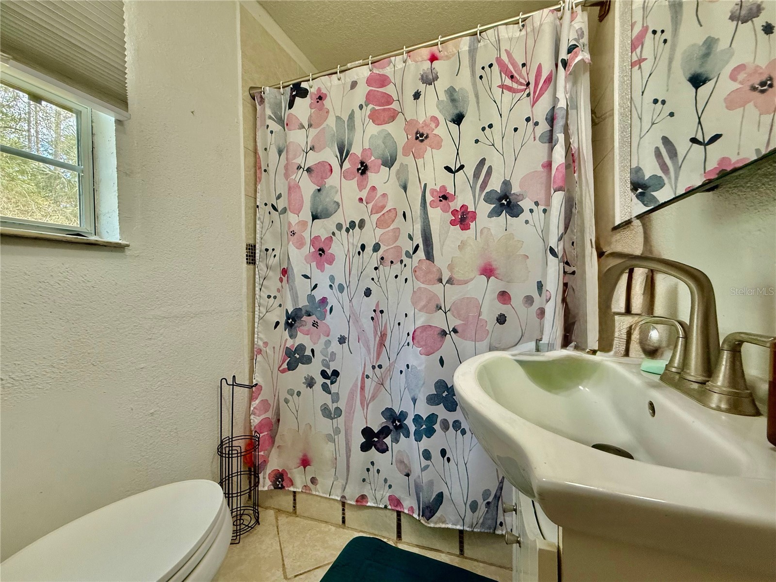 1363 Emporia Road Pierson FL 32180 O6390745 image20