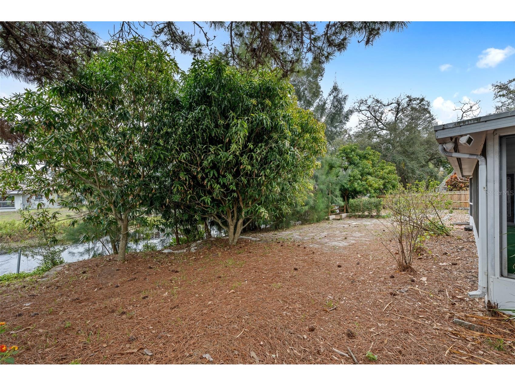 1363 Essex Drive Clearwater FL 33756 TB8484618 image25