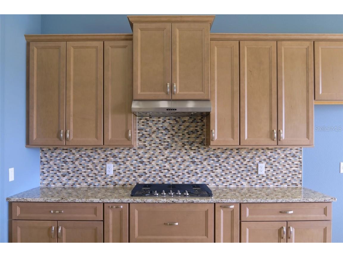 1363 W Greenmeadow Path Hernando FL 34442 TB8425143 image10