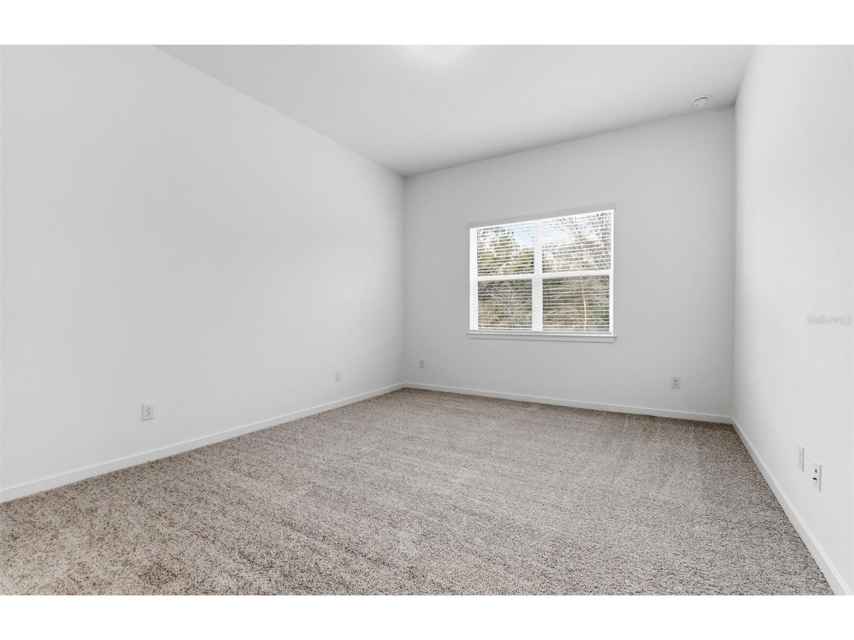 13630 Canyon Ridge Road Spring Hill FL 34610 TB8436455 image6