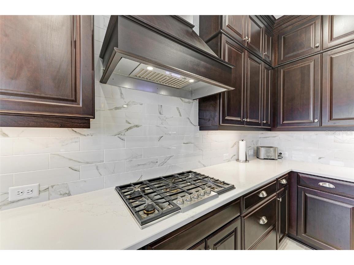 13630 Deep Blue Place Bradenton FL 34211 A4641233 image14