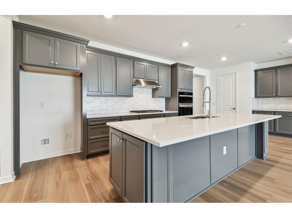 13631 Sunlight Meadow Drive Riverview FL 33578 TB8377583 image3