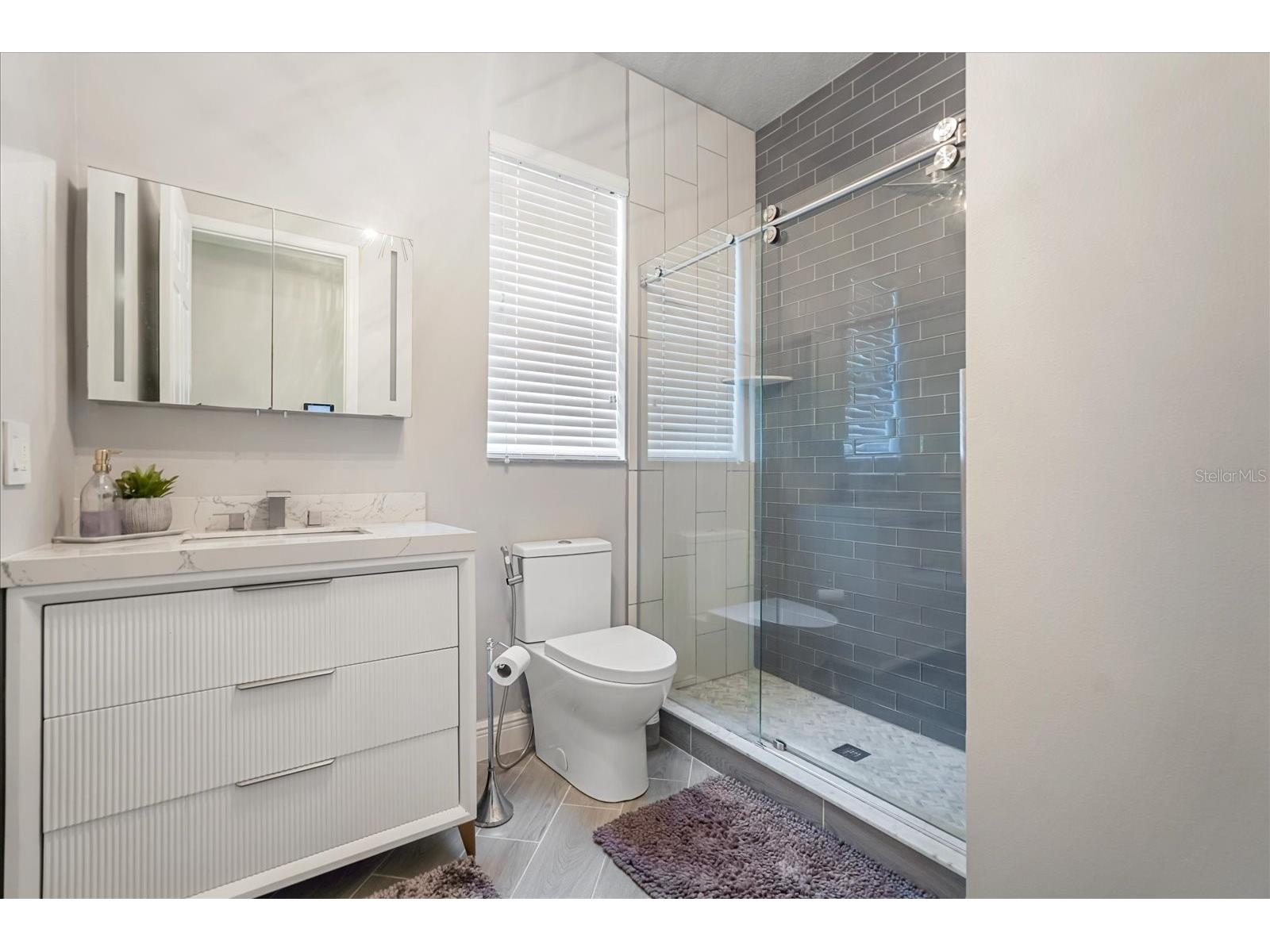 13633 Ancilla Boulevard Windermere FL 34786 O6403031 image25