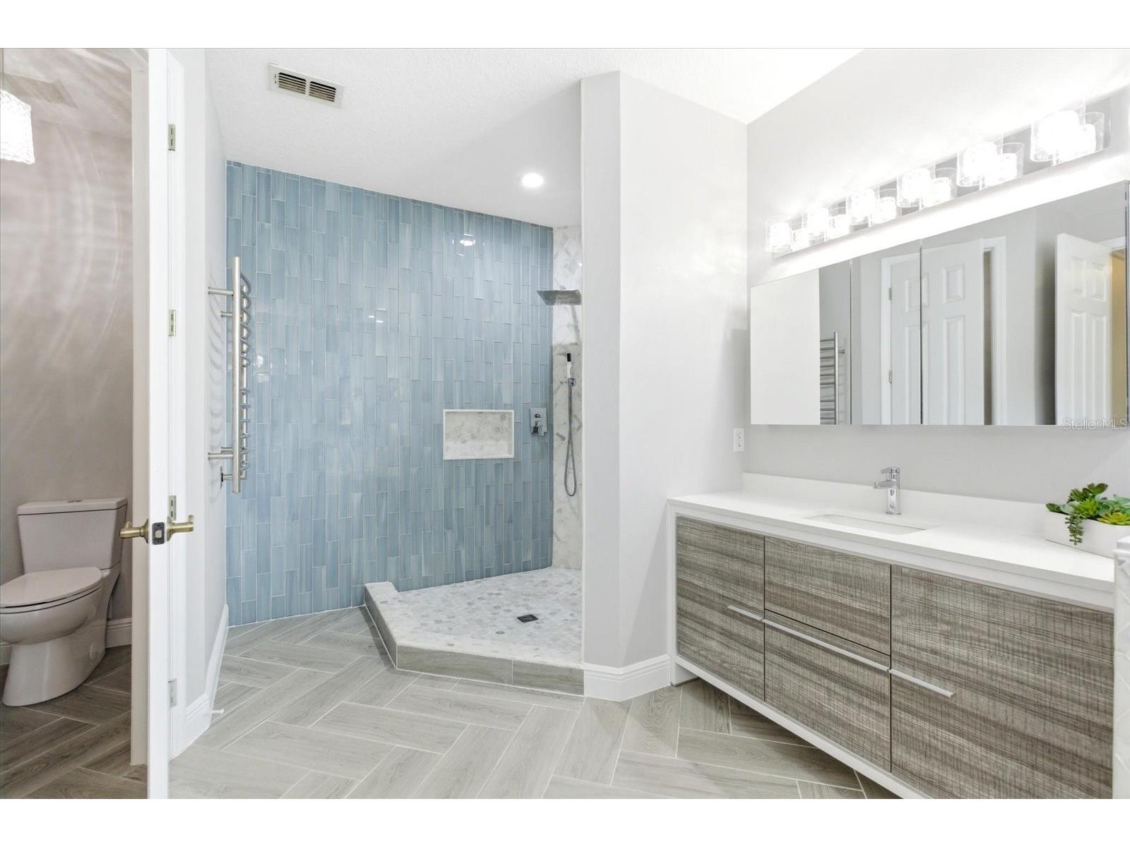 13633 Ancilla Boulevard Windermere FL 34786 O6403031 image35