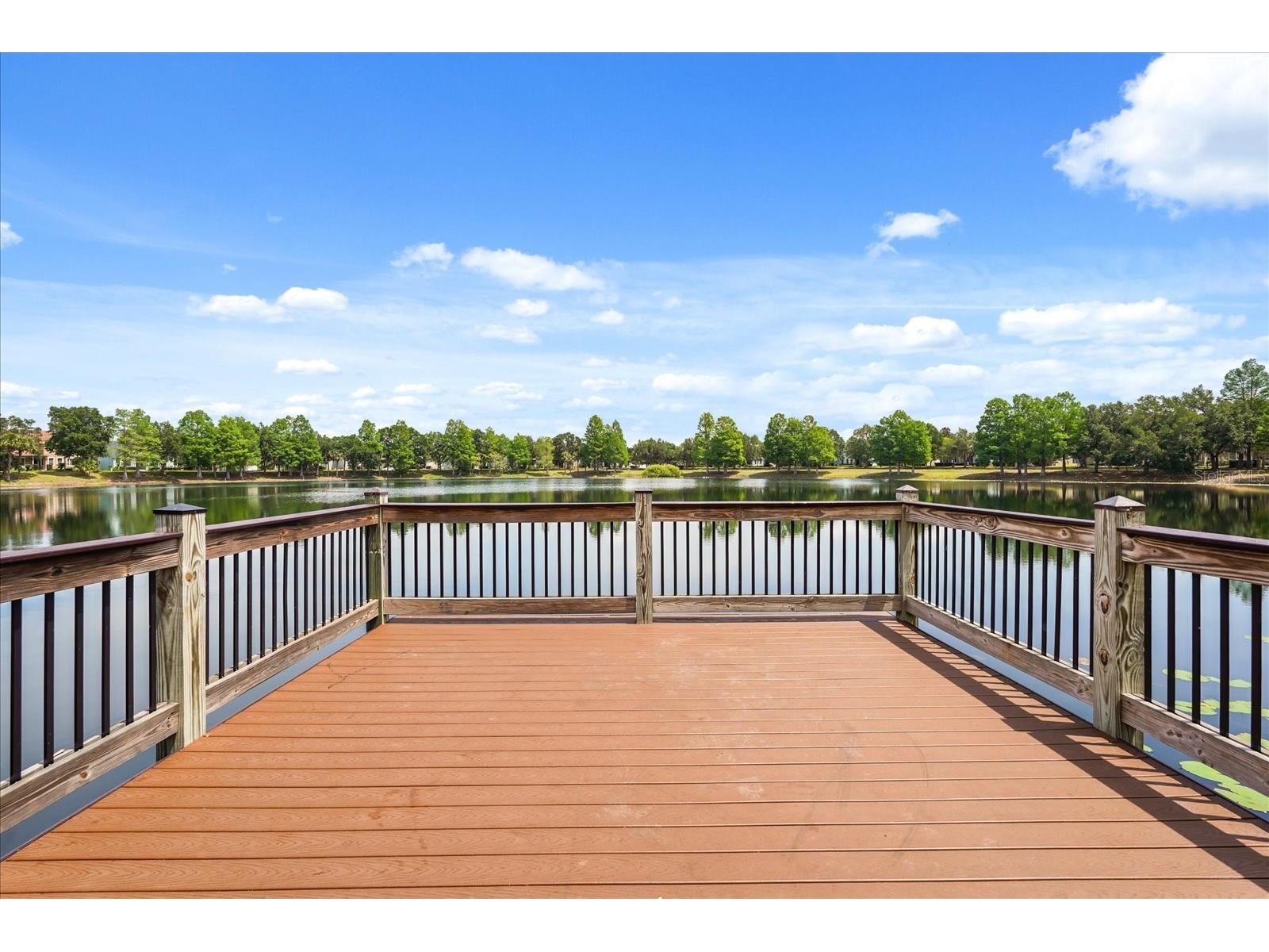 13633 Ancilla Boulevard Windermere FL 34786 O6403031 image43