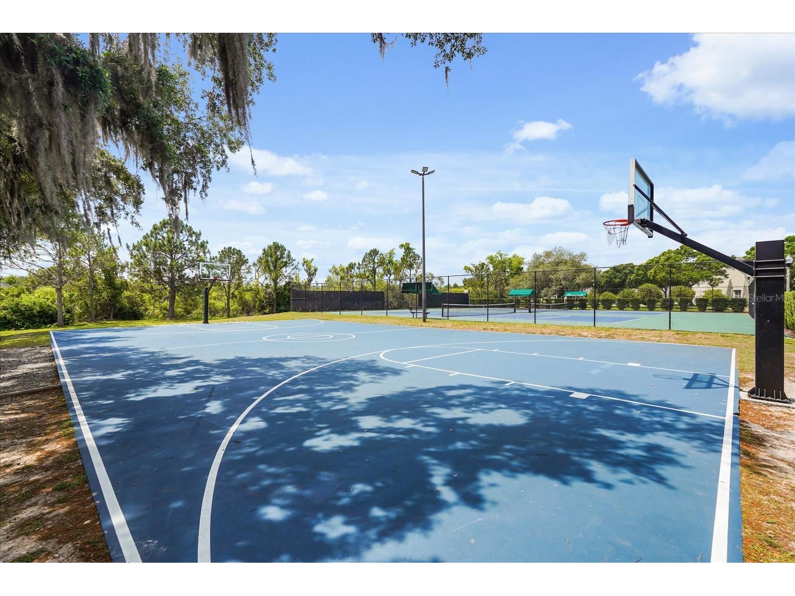 13633 Ancilla Boulevard Windermere FL 34786 O6403031 image44