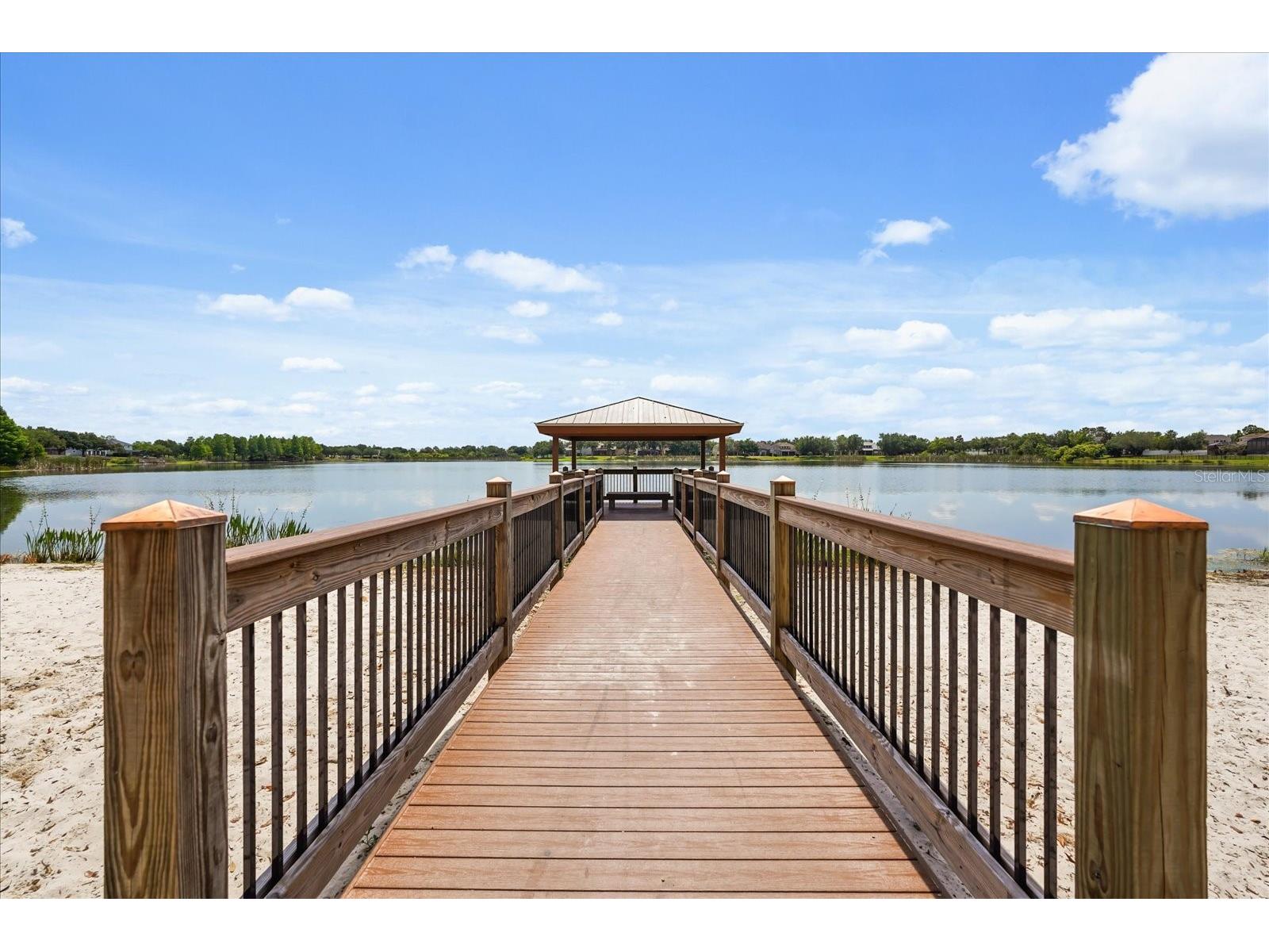13633 Ancilla Boulevard Windermere FL 34786 O6403031 image45