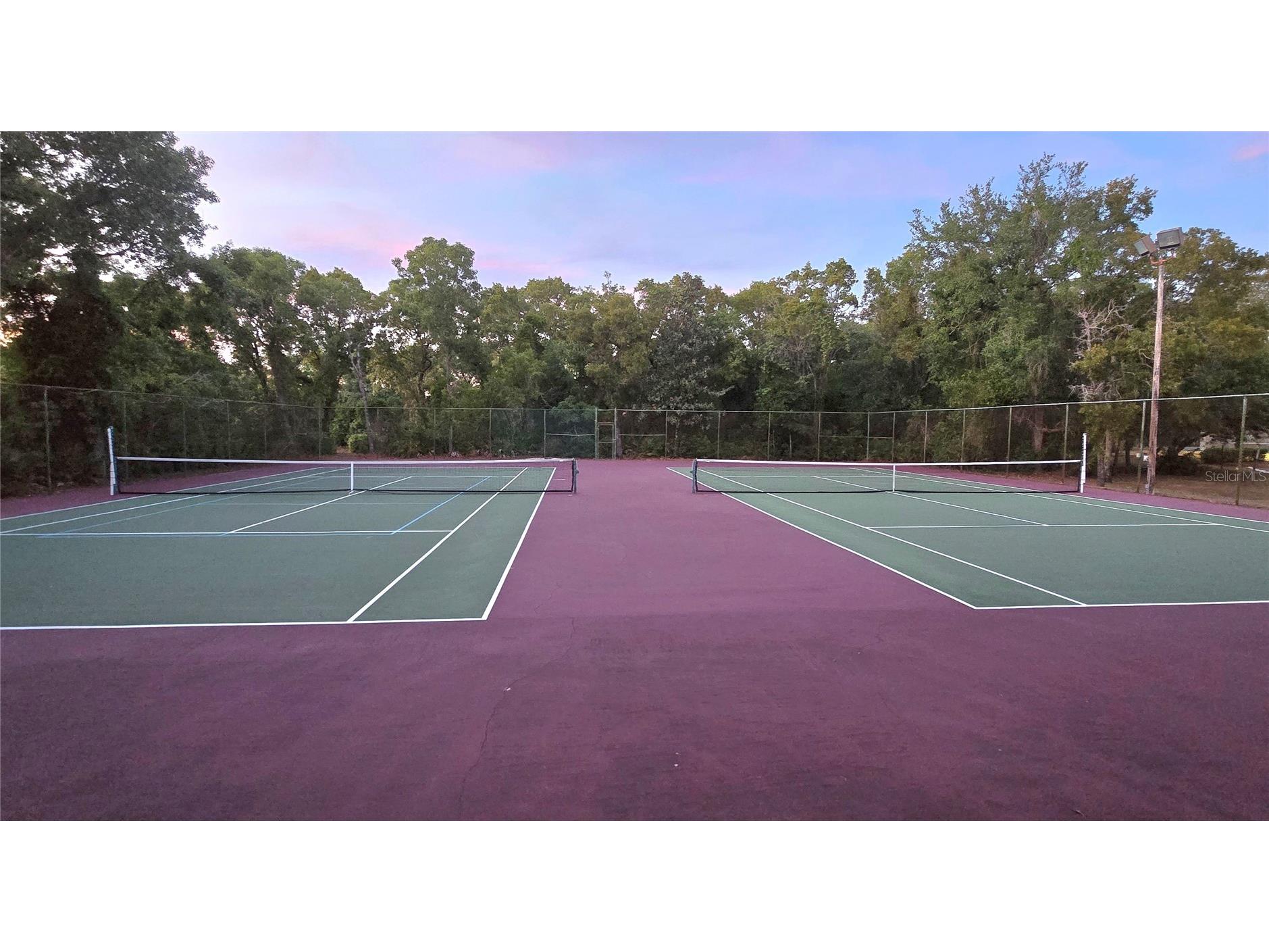 13635 Muffin Court Hudson FL 34667 TB8500503 image48