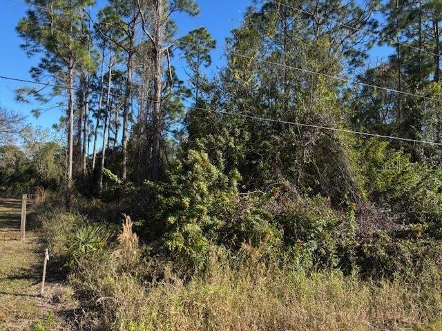 13636 Sulky Drive Punta Gorda FL 33955 C7520486 image4