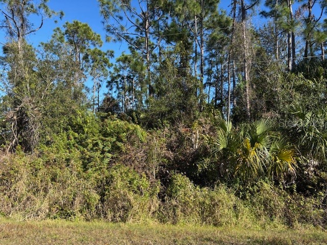 13636 Sulky Drive Punta Gorda FL 33955 C7520486 image5
