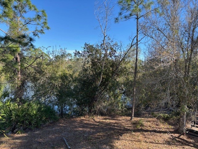 13636 Sulky Drive Punta Gorda FL 33955 C7520486 image6