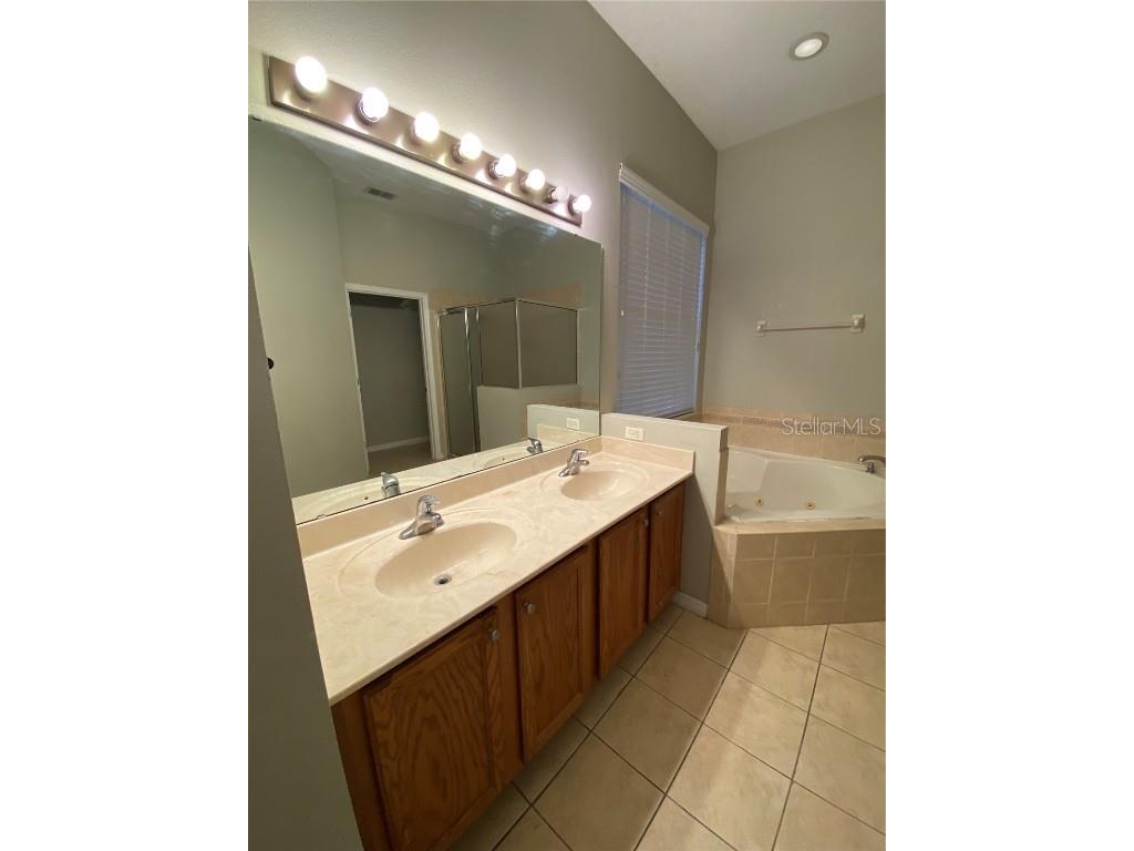 13638 Ancilla Boulevard Windermere FL 34786 S5139748 image11
