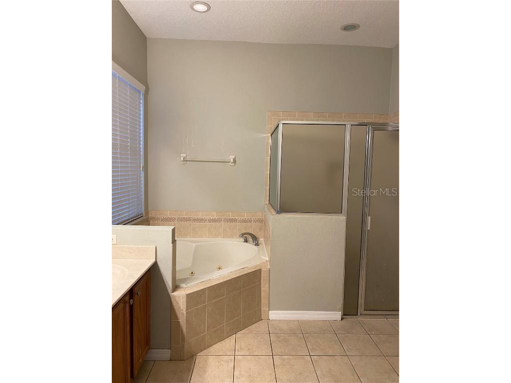 13638 Ancilla Boulevard Windermere FL 34786 S5139748 image12