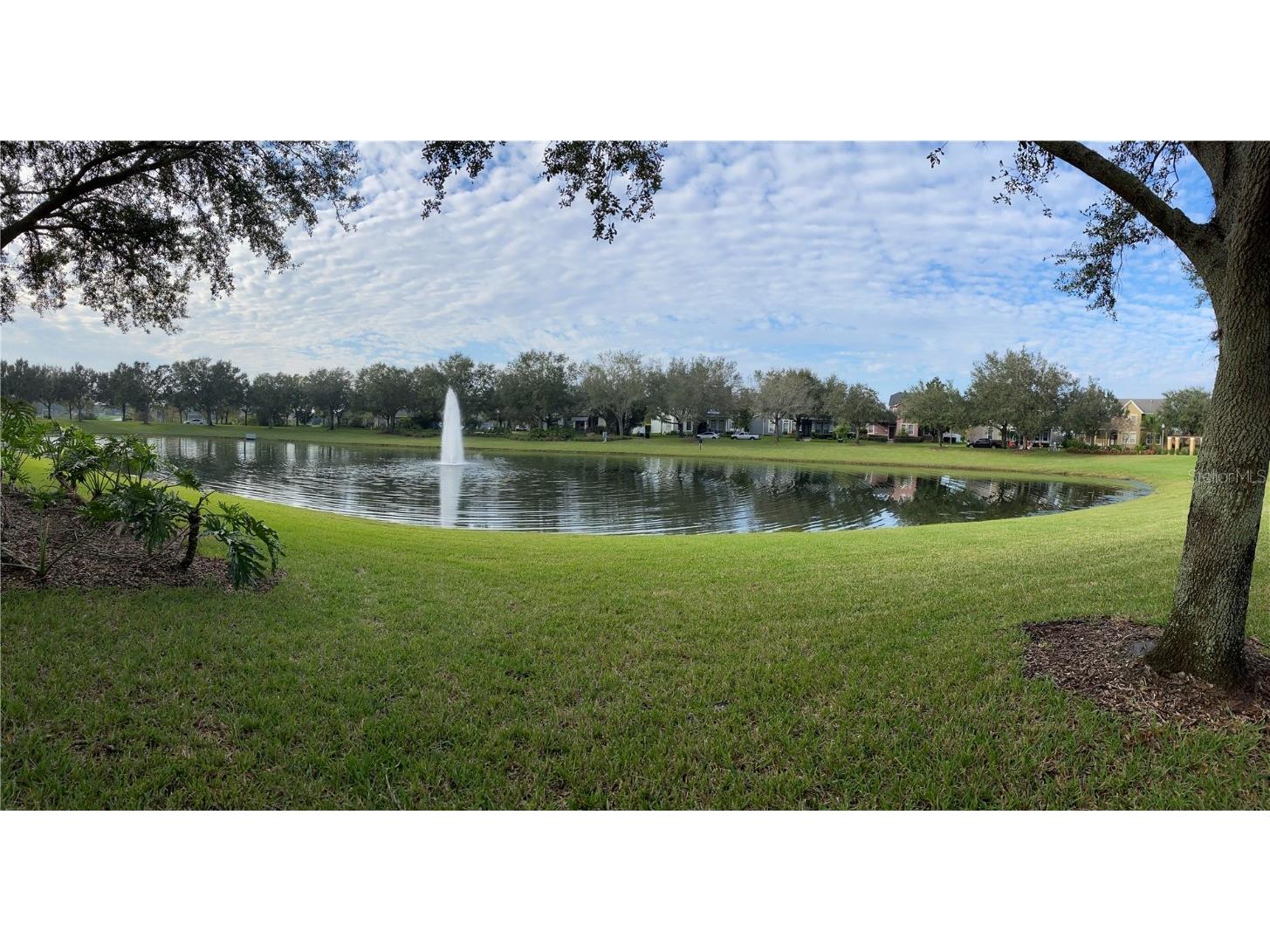 13638 Ancilla Boulevard Windermere FL 34786 S5139748 image4