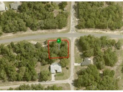 1364 W G Martinelli Boulevard Citrus Springs FL 34434 OM669708 image1