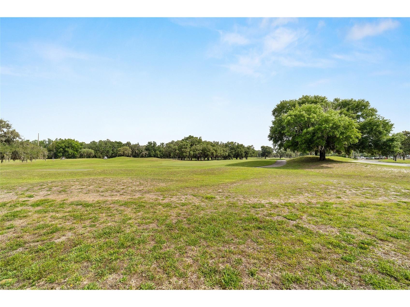 13640 SW 115th Avenue Dunnellon FL 34432 OM724635 image50