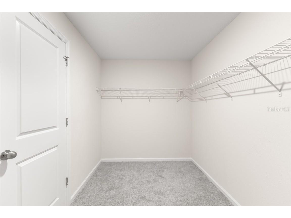 13641 Wild Ginger Street Riverview FL 33579 TB8448281 image19