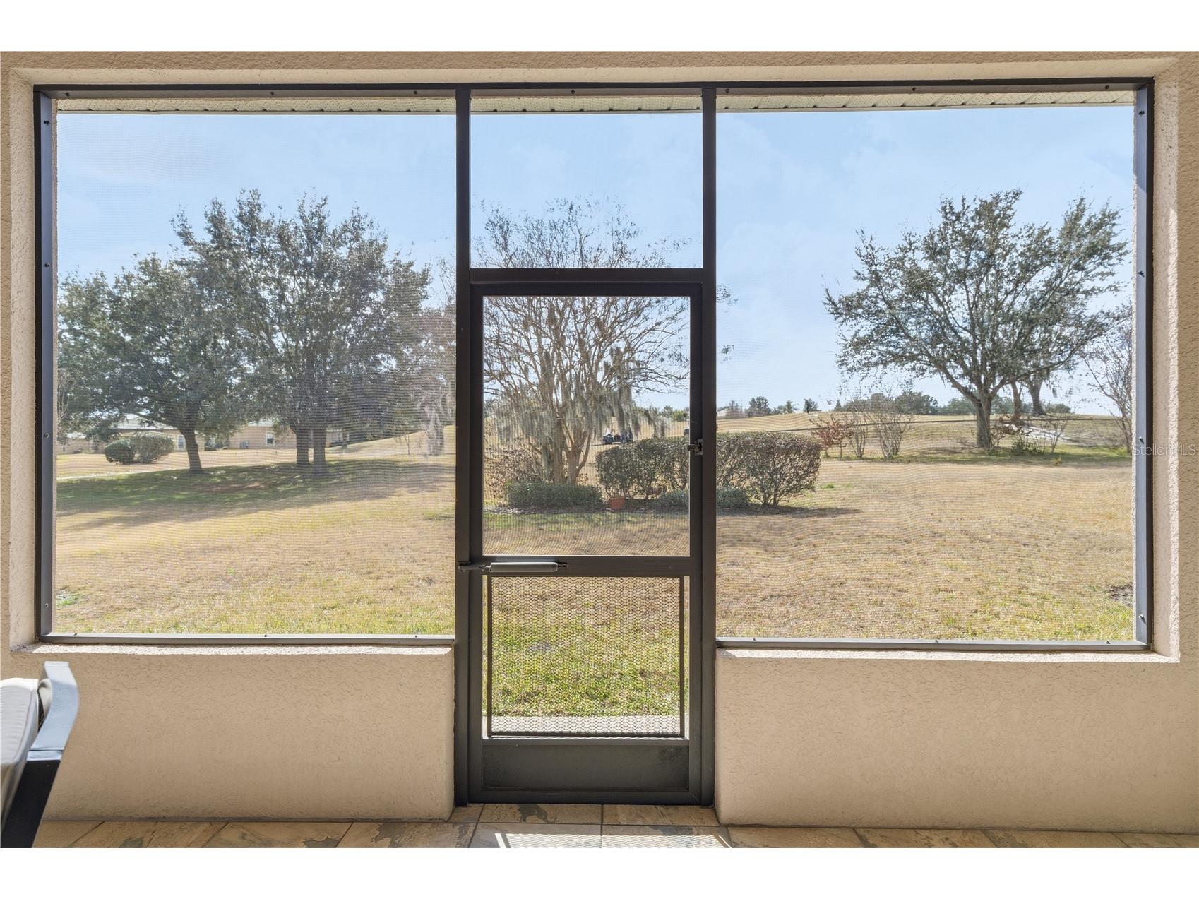 13642 Thoroughbred Drive Dade City FL 33525 TB8475853 image26
