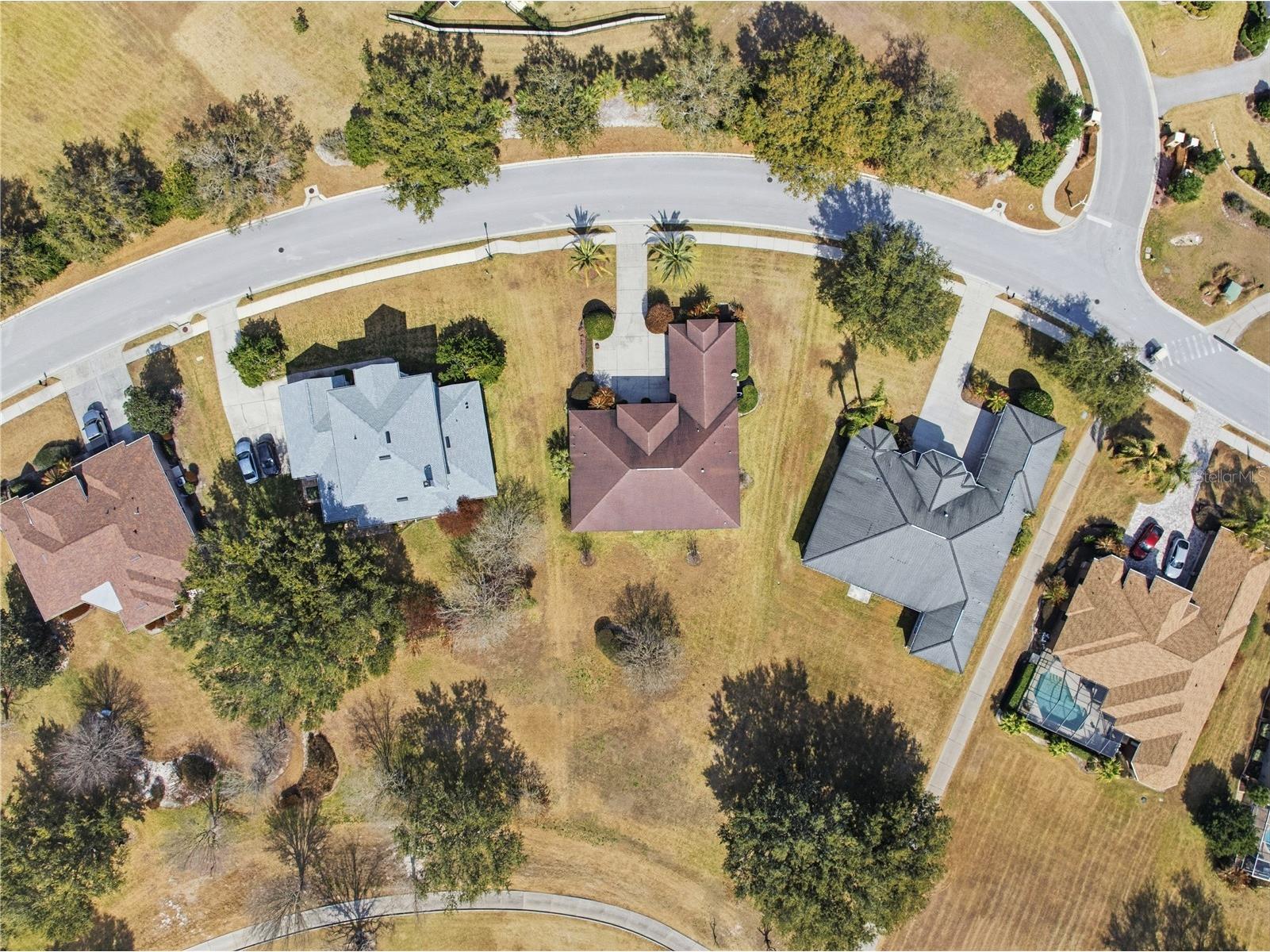 13642 Thoroughbred Drive Dade City FL 33525 TB8475853 image30