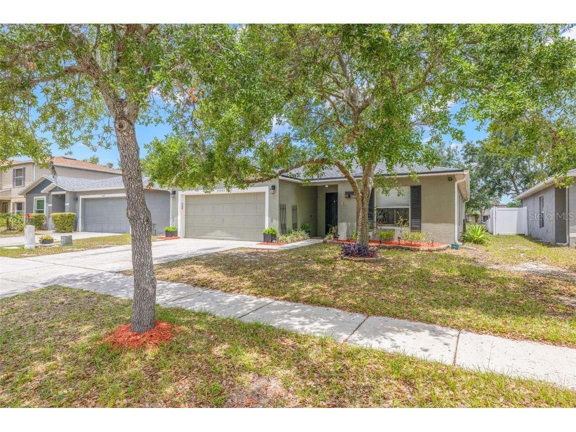 13643 Tramore Drive Odessa FL 33556 TB8387058 image1