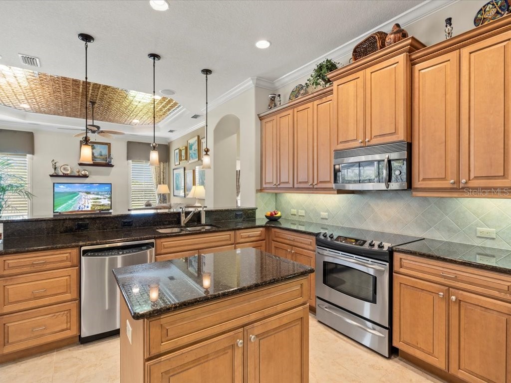 13644 Brilliante Drive Venice FL 34293 A4679646 image16